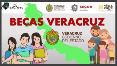 Becas Veracruz 2023 2024 Convocatorias Requisitos Y Registro