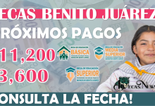 Se acerca pago de $3,600 y $11,200 de las Becas Benito Juárez |¿CUÁNDO LO RECIBES?