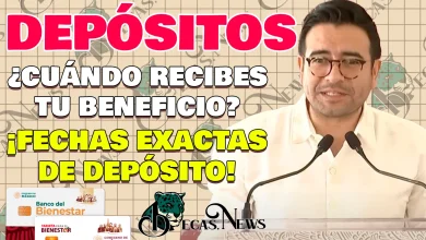 Entrega de PAGOS, ¿Cuándo será depositado tu apoyo monetario de las Becas Benito Juárez?