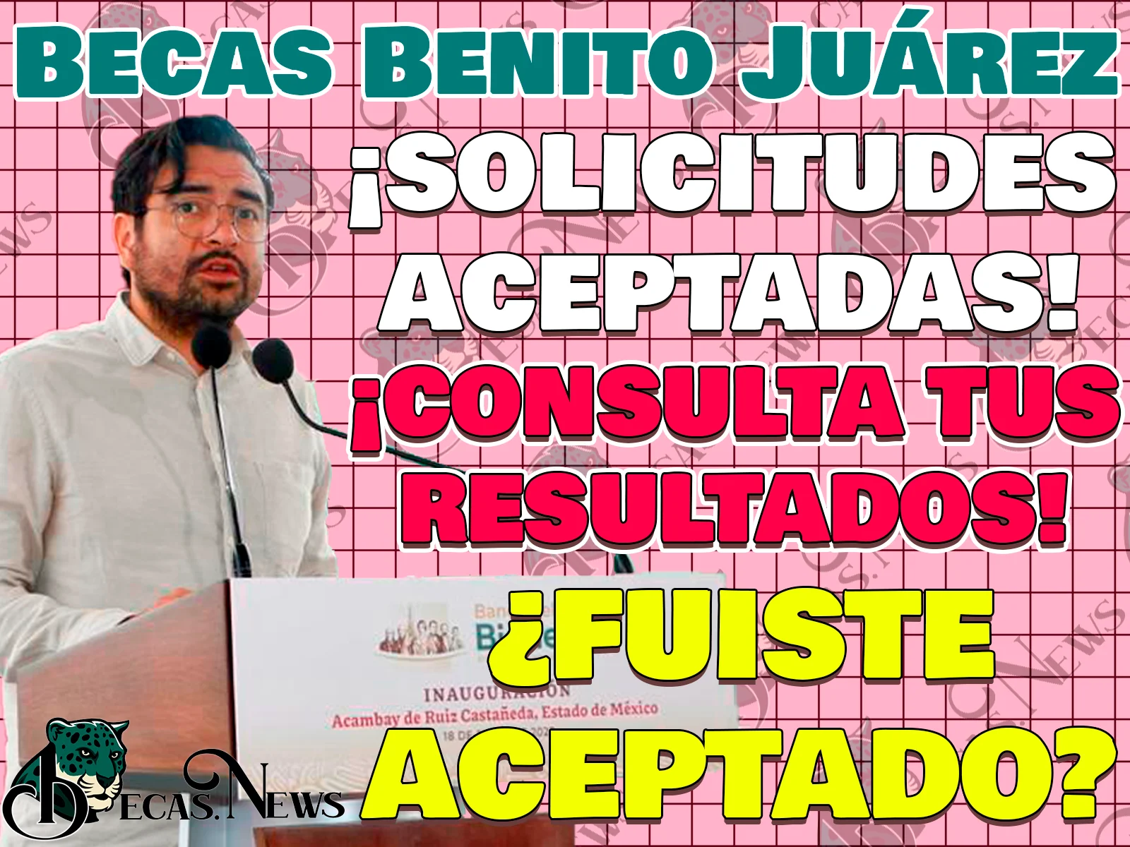 Resultados de aceptación para las Becas Benito Juárez. ¿Fuiste aceptado dentro del programa?