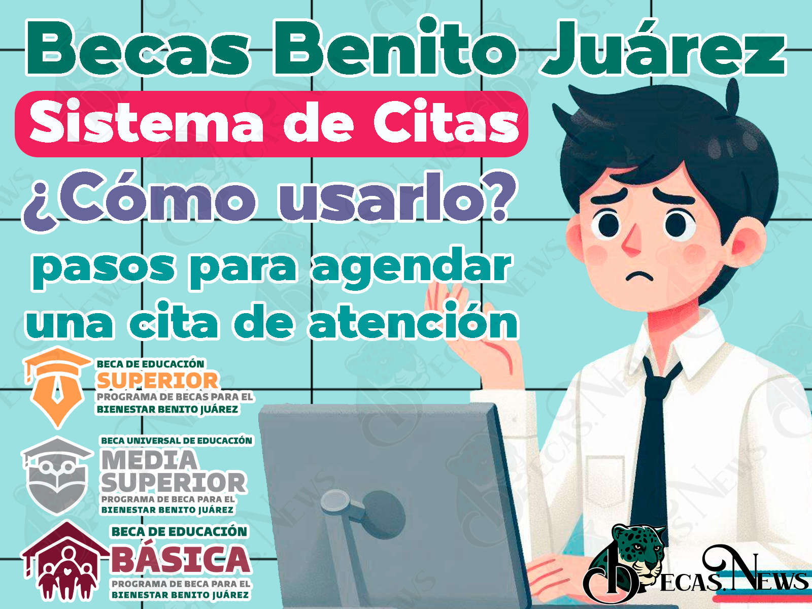 ¿Cómo agendar una cita en el Sistema de Citas? Coordinación Nacional de Becas