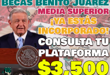 Becas Benito Juárez de Educación Media Superior. ¡YA Fuiste INCORPORADO! Consulta tu Buscador de Estatus