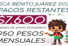 ¡Atención! Estos beneficiarios recibirán la Beca Benito Juárez en Febrero, ¿Estás en la lista?