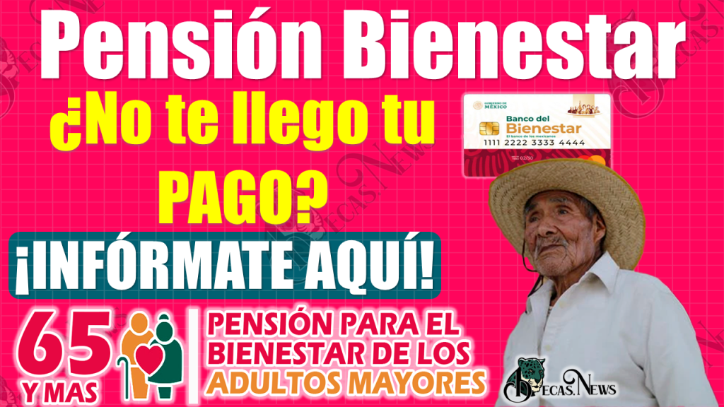 ¿No te depositaron tu Pensión Bienestar?, ¡¡No te preocupes, esto es lo que debes de hacer!!