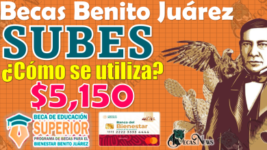 Solicita tu Beca Benito Juárez siguiendo pasos a través de la Plataforma de Registro SUBES