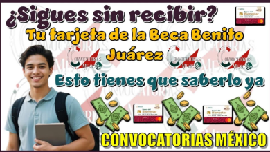 ¿Ya Sabes Cuándo Recibirás Tu Tarjeta del Banco del Bienestar? Descúbrelo Aquí