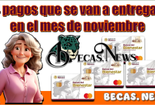 ▷ 4 pagos que se van a entregar en el mes de noviembre  » 2025 BECAS.NEWS 🥇 4 pagos que se van a entregar en el mes de noviembre
