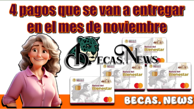 ▷ 4 pagos que se van a entregar en el mes de noviembre  » 2025 BECAS.NEWS 🥇 4 pagos que se van a entregar en el mes de noviembre
