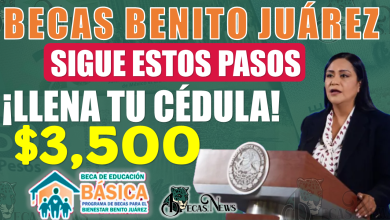 Becas Benito Juárez Nivel Básico | ¡PASOS para llenar tu Cédula de Solicitud de Incorporación!, CONSULTA 