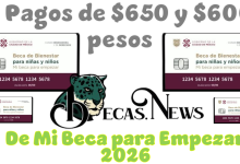 6 pagos de $650 y $600 pesos de Mi Beca para Empezar 2026