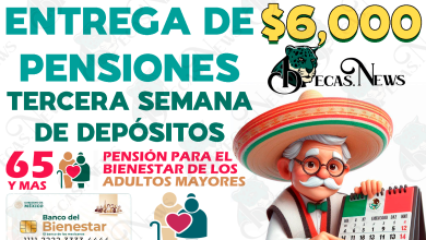 TERCERA SEMANA DE PAGOS, ¿Quiénes serán los Pensionados del Bienestar que cobrarán su beneficio en la ÚLTIMA semana de pagos?