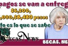 7 pagos se van a entregar de: $6,200, $3,000 y $8,480 pesos | Esto es lo que se sabe