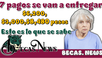 7 pagos se van a entregar de: $6,200, $3,000 y $8,480 pesos | Esto es lo que se sabe