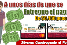A unos días de que se entregue el pago de $8,480 pesos… Jóvenes Construyendo el Futuro