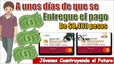 A unos días de que se entregue el pago de $8,480 pesos… Jóvenes Construyendo el Futuro