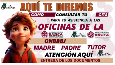 AQUÍ TE DIREMOS COMO CONSULTAR TU CITA PARA TU ASISTENCIA A LAS OFICINAS DE LA CNBBBJ 