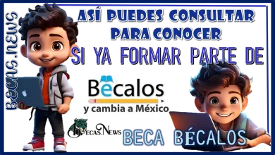 ASÍ PUEDES CONSULTAR PARA CONOCER SI YA FORMAS PARTE DE "BECA BÉCALOS"