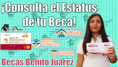 👀👉¡¡Estudiantes de las Becas Benito Juárez!! Consulta si te encuentras ACTIVO a traves del Buscador de Estatus 🤯🚨