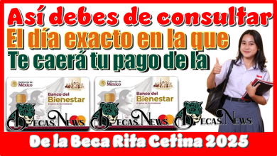 Así debes de consultar el día exacto en la que te caerá tu pago de la Beca Rita Cetina 2025