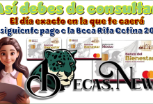 Así debes de consultar el día exacto en la que te caerá tu siguiente pago de la Beca Rita Cetina 2025