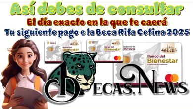 Así debes de consultar el día exacto en la que te caerá tu siguiente pago de la Beca Rita Cetina 2025