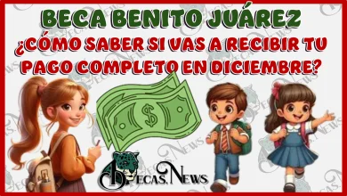 BECA BENITO JUÁREZ ¿CÓMO SABER SI VAS A RECIBIR TU PAGO COMPLETO EN DICIEMBRE?...ESTE DATO LO TIENES QUE CHECAR 