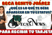 BECA BENITO JUÁREZ | ¿QUÉ ES LO QUE TE DEBE APARECES EN TU ESTATUS PARA ASÍ RECIBIR TU TARJETA DEL PROGRAMA?