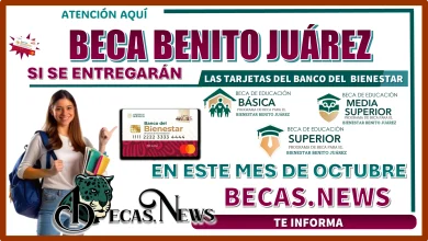 BECA BENITO JUÁREZ… ¿YA CONOCES SI SE ENTREGARÁN LAS TARJETAS DEL BANCO DEL BIENESTAR EN ESTE MES DE OCTUBRE? 