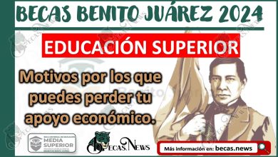 Motivos por los que puedes perder la Beca Benito Juárez: Educación Superior 2024
