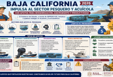 ▷ Baja California impulsa al sector pesquero y acuícola con apoyos para modernización, equipamiento y productividad en 2026 » 2026 BECAS.NEWS 🥇 Baja California impulsa al sector pesquero y acuícola con apoyos para modernización, equipamiento y productividad en 2026