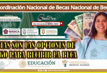 Beca Benito Juárez 2024 | ¿Cuántas opciones de pago existen para entregar la beca?
