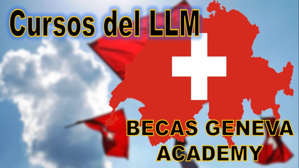 Becas Geneva Academy