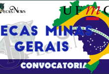 Becas Minas Gerais 2022-2023