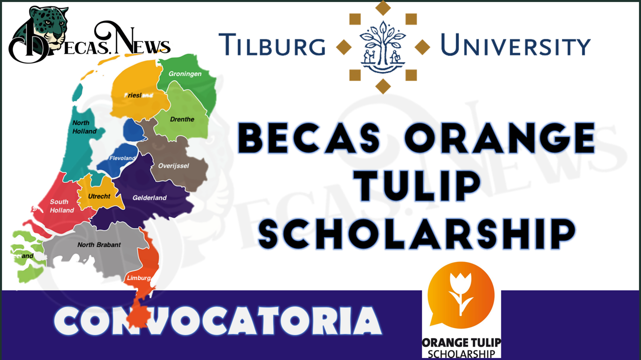 Becas Orange Tulip Scholarship 2022-2023