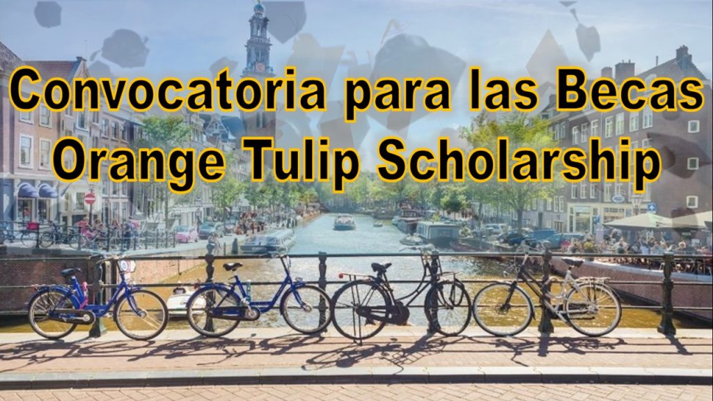 Becas Orange Tulip Scholarship
