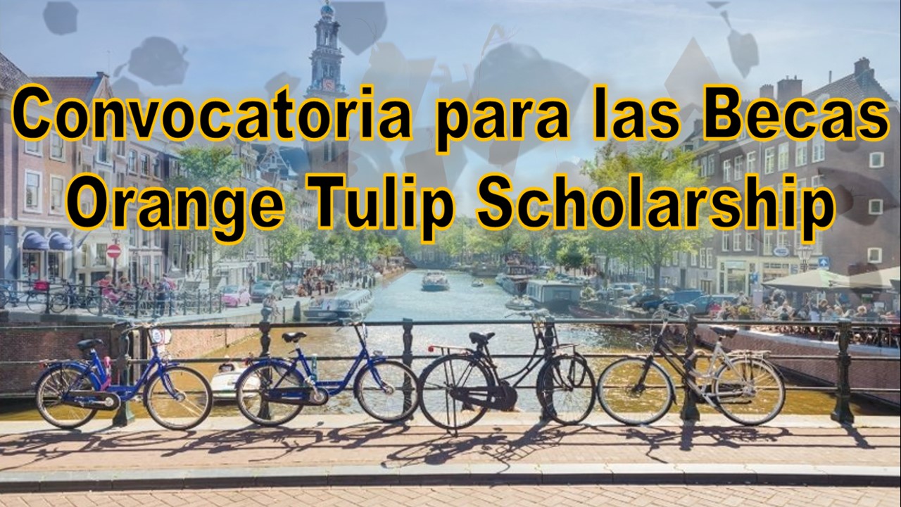 Becas Orange Tulip Scholarship 20232024 Estudia en alguna de las