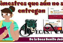 Bimestres que aún no se entregan de la Beca Benito Juárez