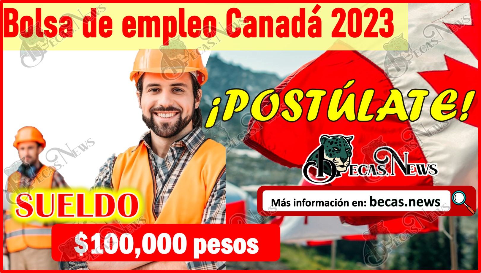 Oferta de empleo Canadá ¡Postúlate y gana $100 mil pesos!