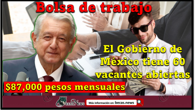 Bolsa de Trabajo: Si estas en busca de trabajo, el Gobierno de México tiene 60 vacantes abiertas