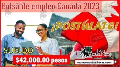 Bolsa de empleo Canadá 2023 | ¡POSTÚLATE y GANA $42 mil pesos al mes!
