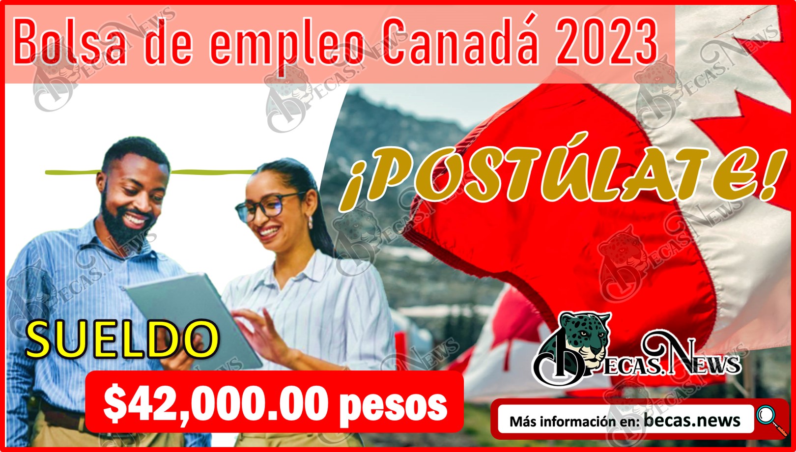 Bolsa de empleo Canadá 2023 | ¡POSTÚLATE y GANA $42 mil pesos al mes!