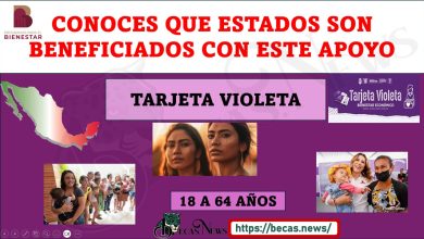 TARJETA VIOLETA QUIEN PUEDE SER BENEFICIARIA DE ESTE PROGRAMA DE APOYO ECONÓMICO.