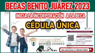 Becas Benito Juárez: Educación Básica 2023 | Da Inicio el proceso de incorporación mediante la CÉDULA ÚNICA