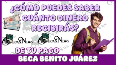 ¿CÓMO PUEDES SABER CUÁNTO DINERO RECIBIRÁS DE TU PAGO BENITO JUÁREZ?