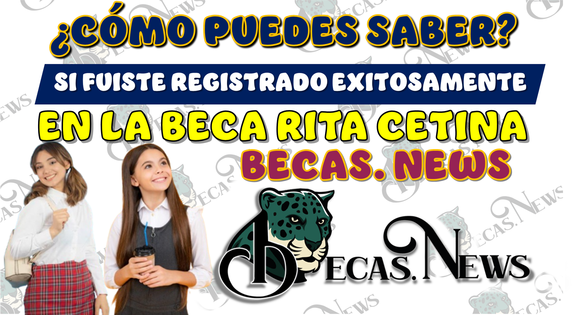 ¿CÓMO PUEDES SABER SI FUISTE REGISTRADO EXITOSAMENTE EN LA BECA RITA CETINA?