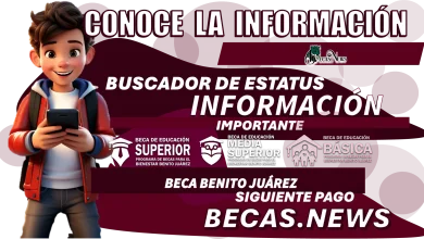 CONOCE LA INFORMACIÓN DEL BUSCADOR DE ESTATUS | INFORMACIÓN IMPORTANTE DE TU BECA BENITO JUÁREZ 