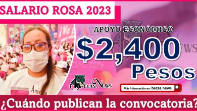 Convocatoria Salario Rosa 2023: ¿Cuándo publican la convocatoria 2023?