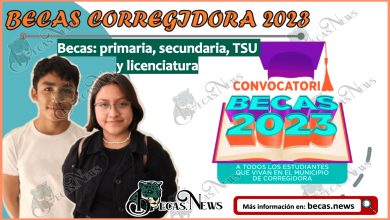 Becas Corregidora 2023: Primaria, Secundaria, TSU y Licenciatura | Convocatoria, Registro y Requisitos