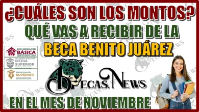 ¿CUÁLES SON LOS MONTOS QUÉ VAS A RECIBIR DE LA BECA BENITO JUÁREZ EN EL MES DE NOVIEMBRE?