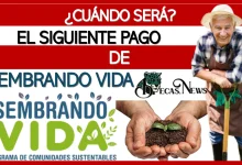 ¿CUÁNDO SERÁ EL SIGUIENTE PAGO DE SEMBRANDO VIDA?